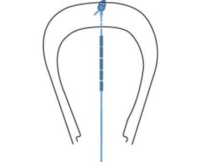 gyn-cs-adapts Gyn-cs in the uterus